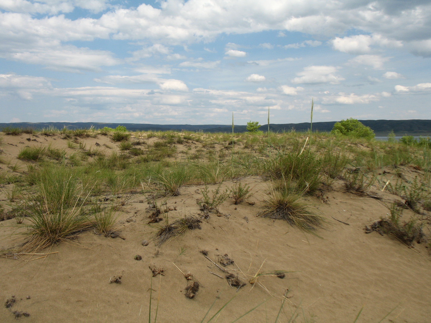 Казнаковская переправа, image of landscape/habitat.