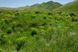 Image of landscape