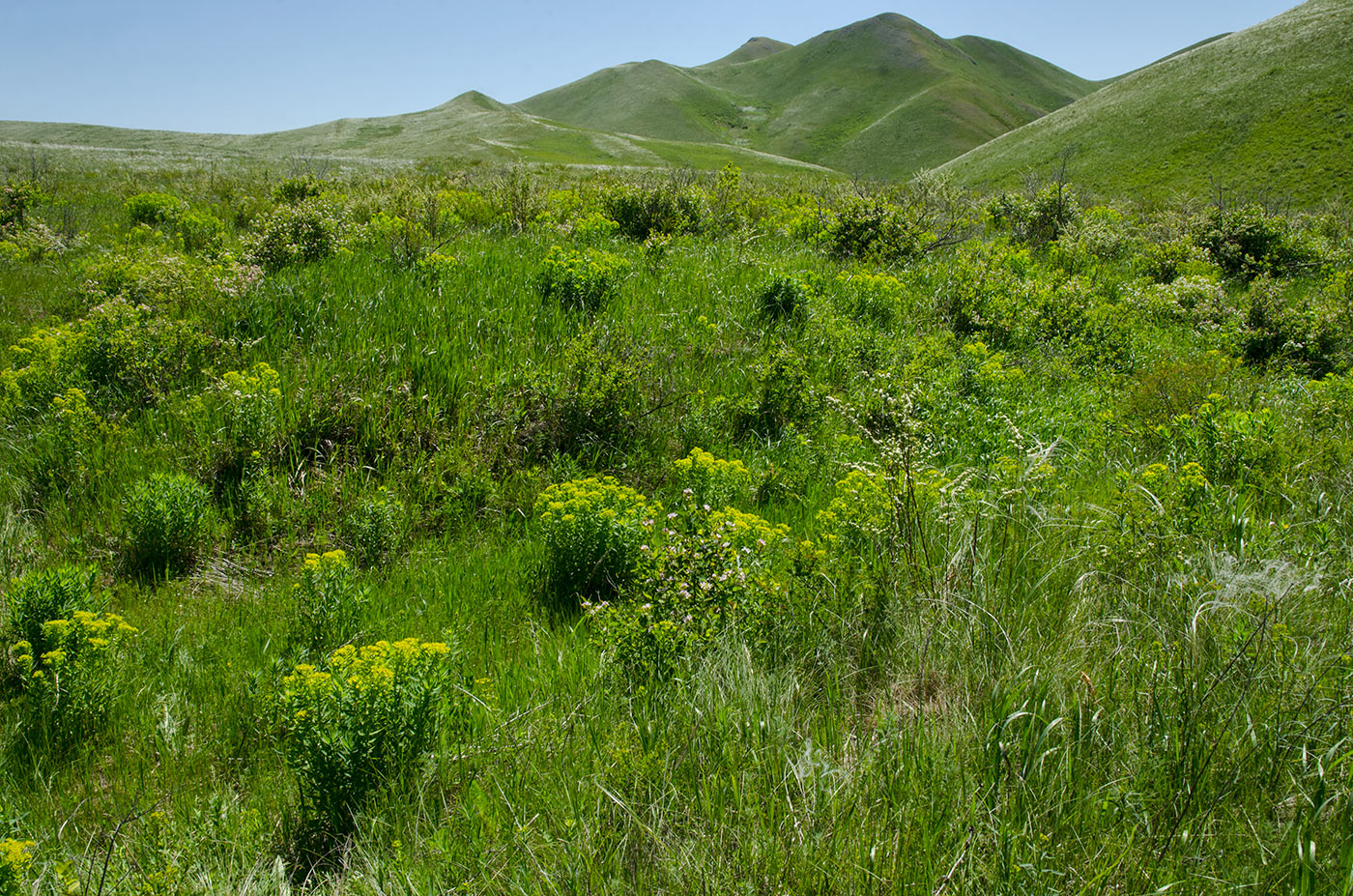 Гора Нос, image of landscape/habitat.