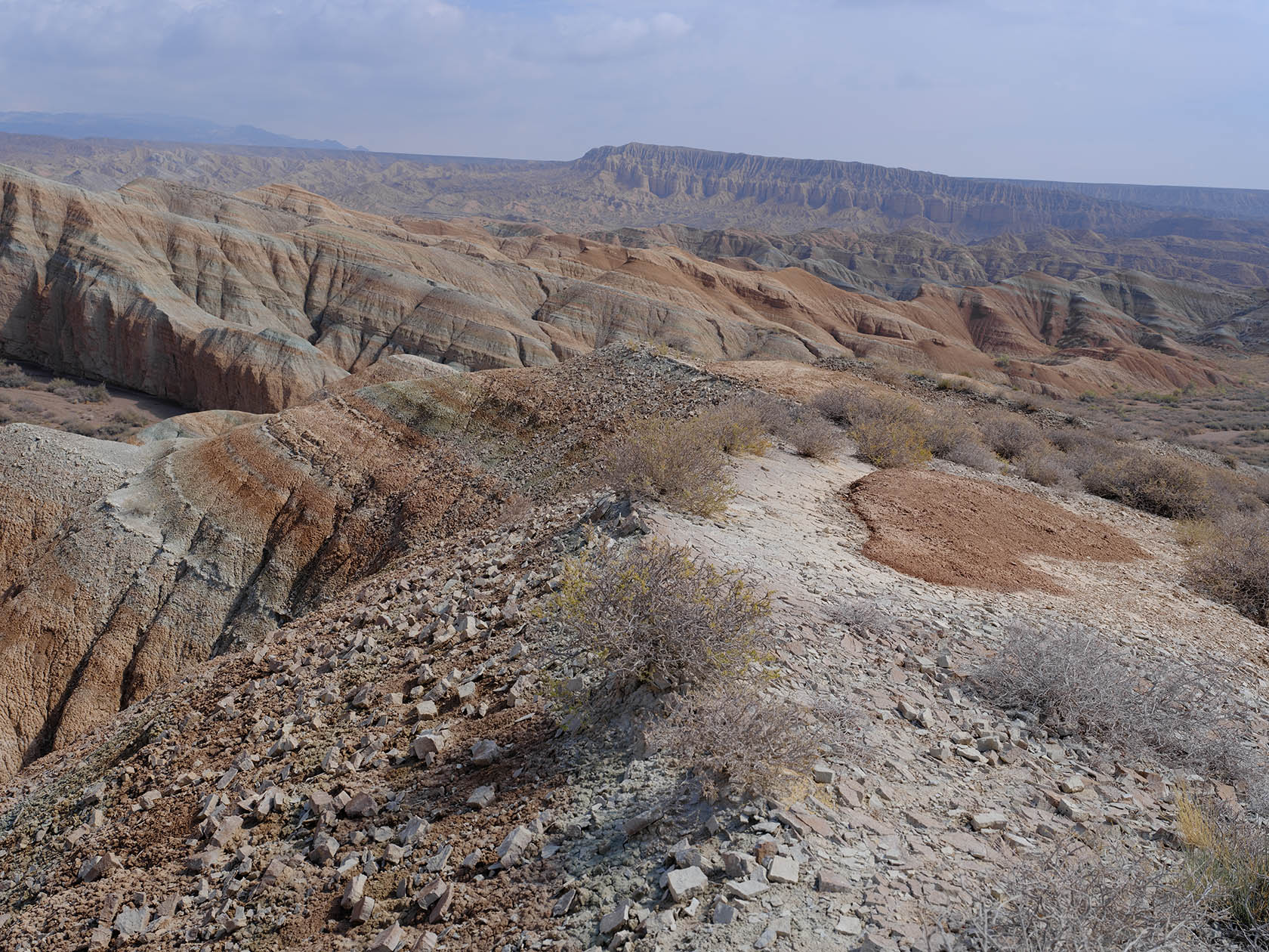 Долонтау, image of landscape/habitat.