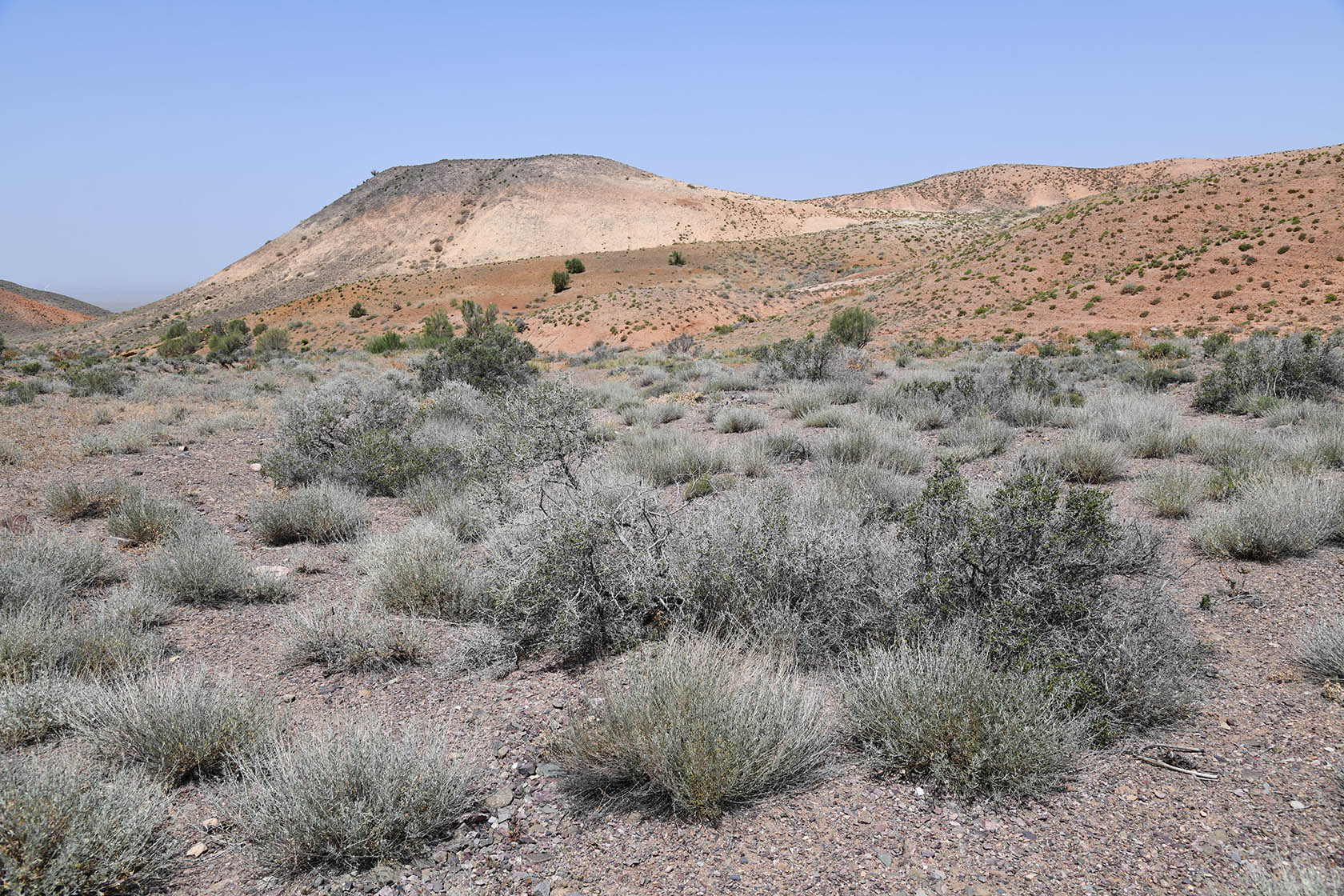 Бала-Богуты, image of landscape/habitat.