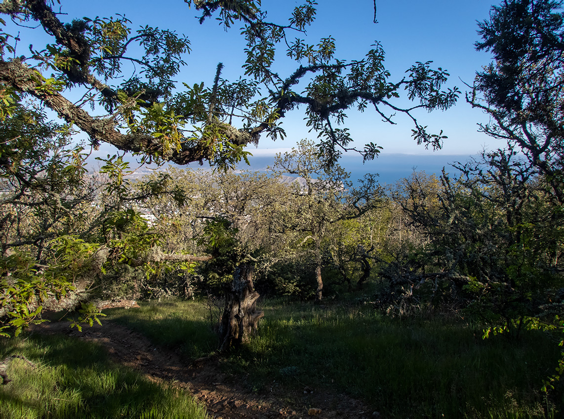 Перчем, image of landscape/habitat.