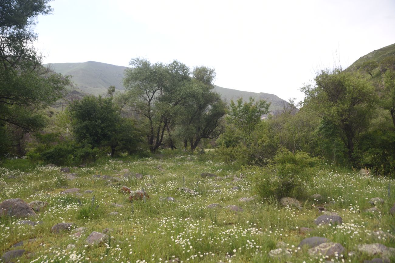 Урочище Тавкветула, image of landscape/habitat.