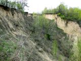 Image of landscape