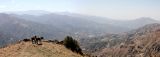 Image of landscape
