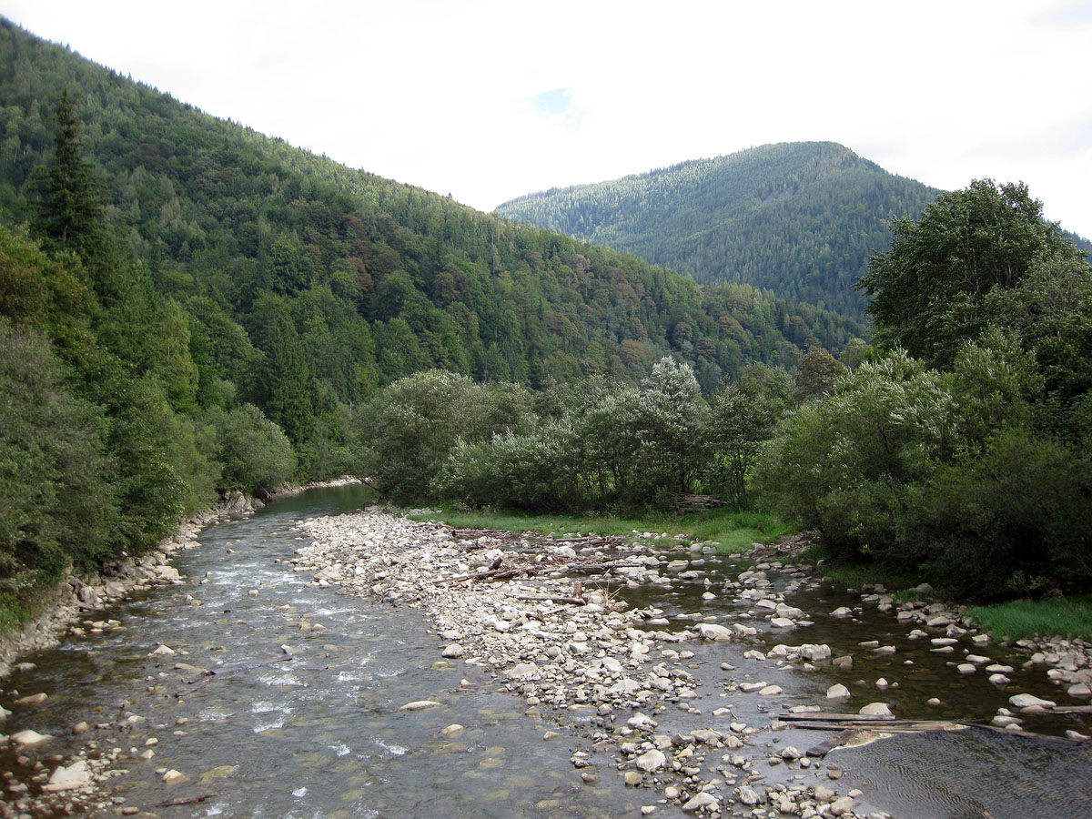 Заповедник "Горганы", Максимец, изображение ландшафта.