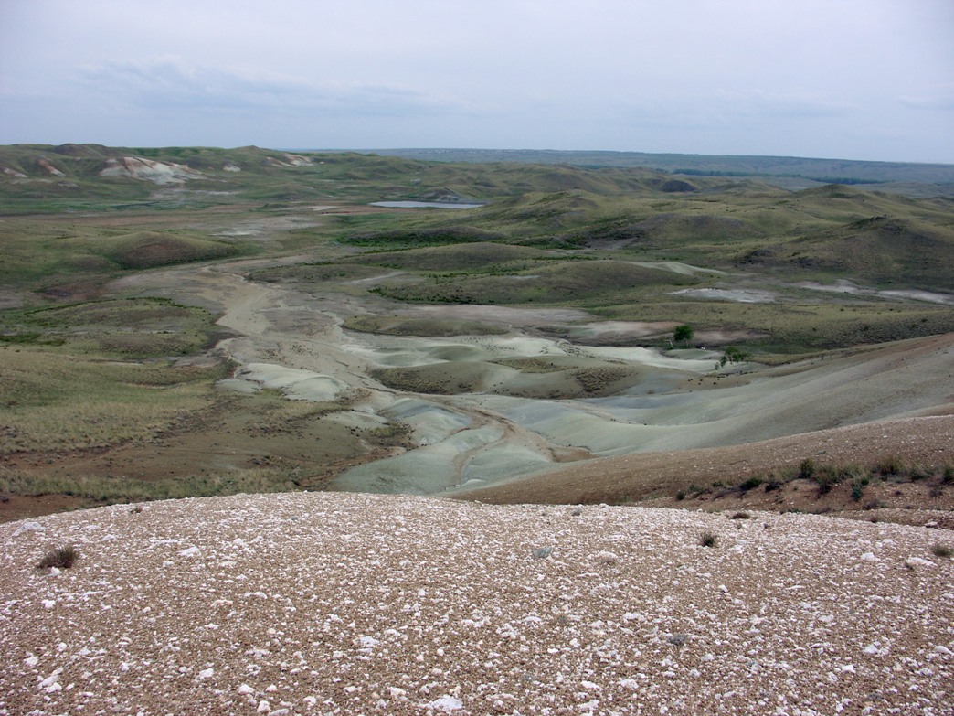 Меловая гора Дюртель, image of landscape/habitat.