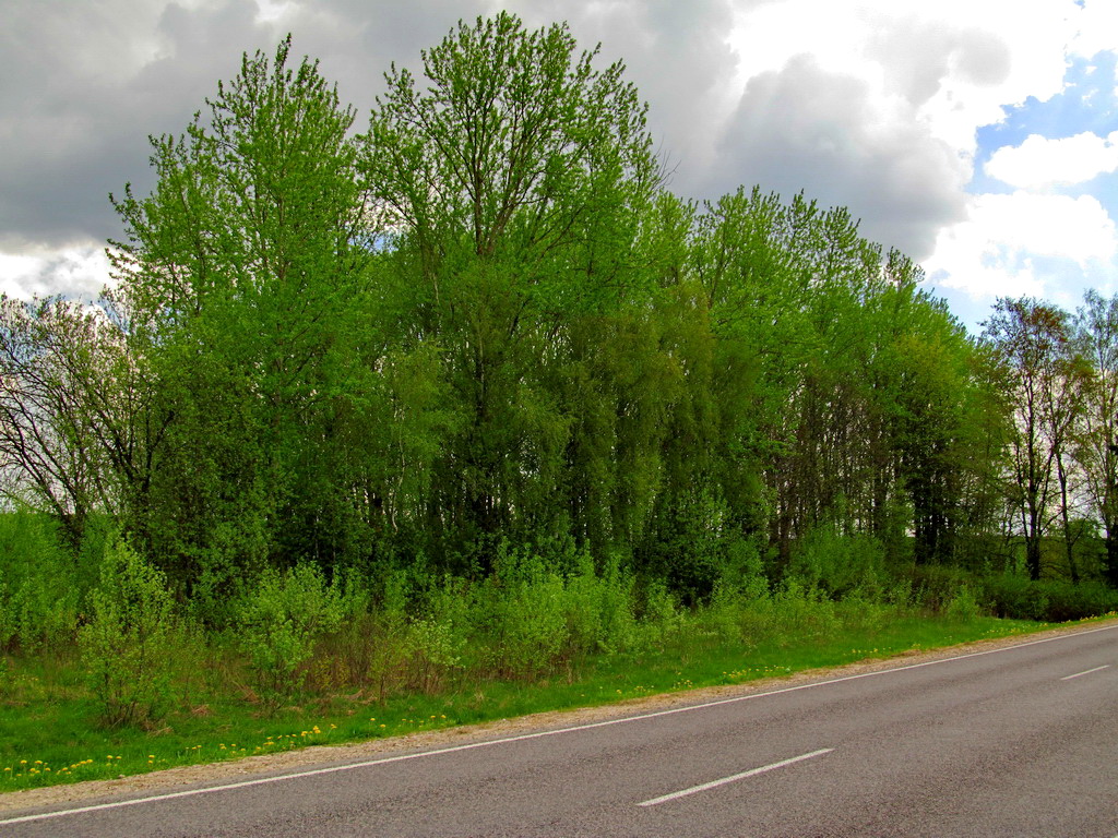 Хутор Слуховичи, image of landscape/habitat.