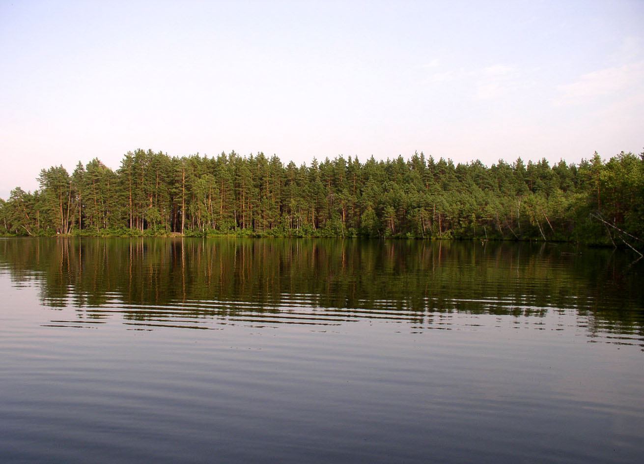 Вязниковские озера, image of landscape/habitat.