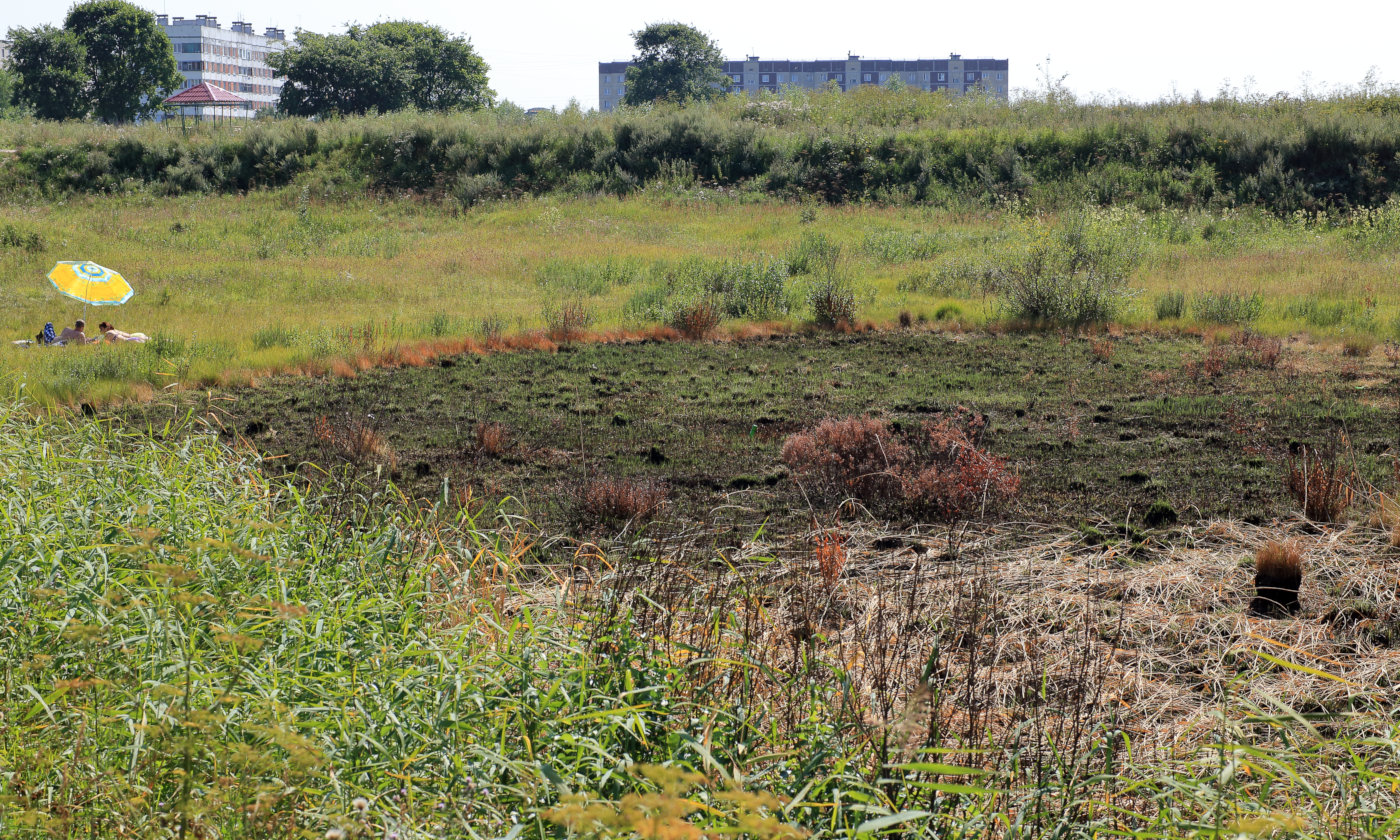 Окрестности Пудости, image of landscape/habitat.