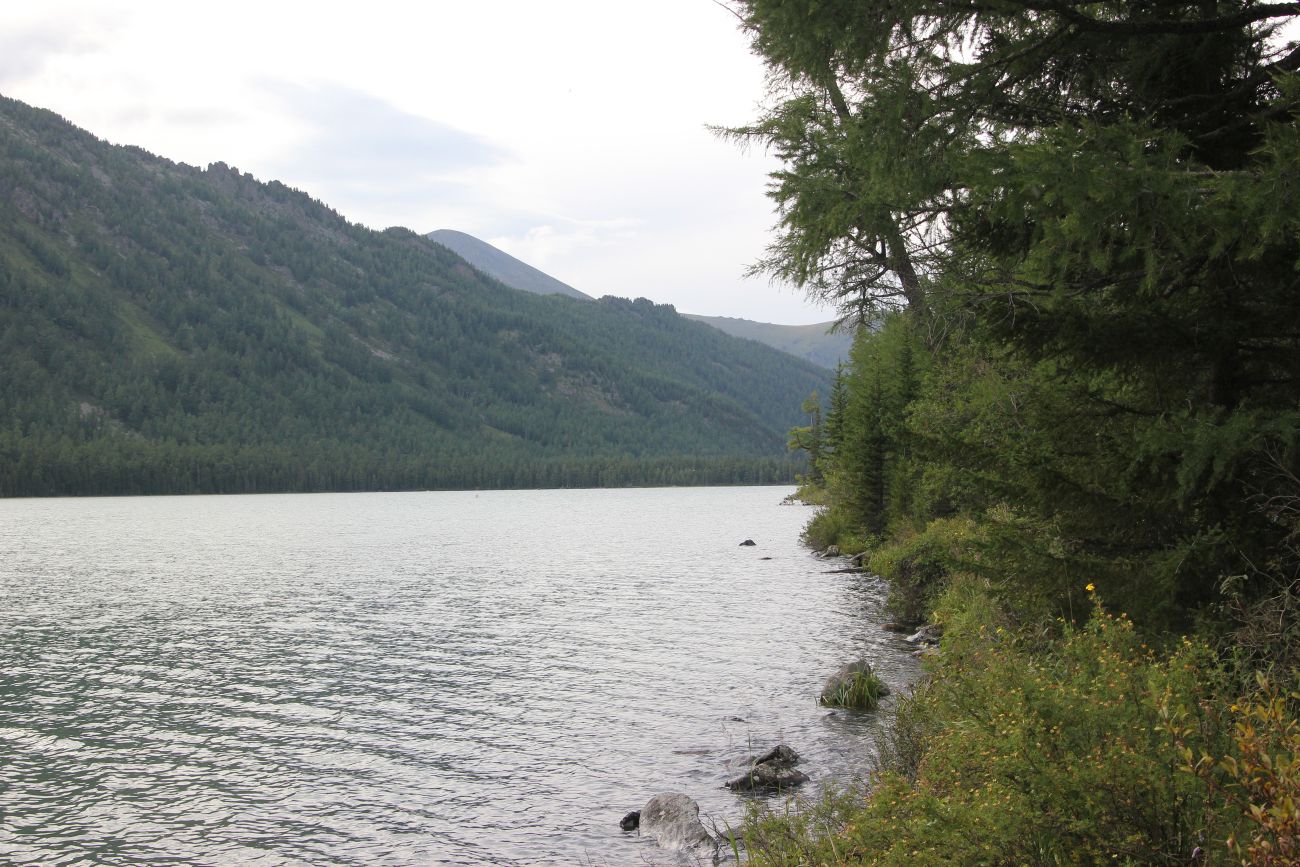 Среднее Мультинское озеро, image of landscape/habitat.