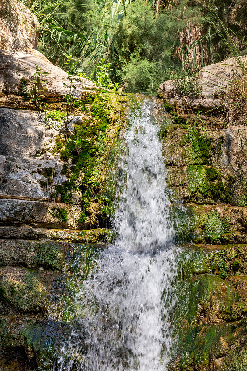 Эйн-Геди, image of landscape/habitat.