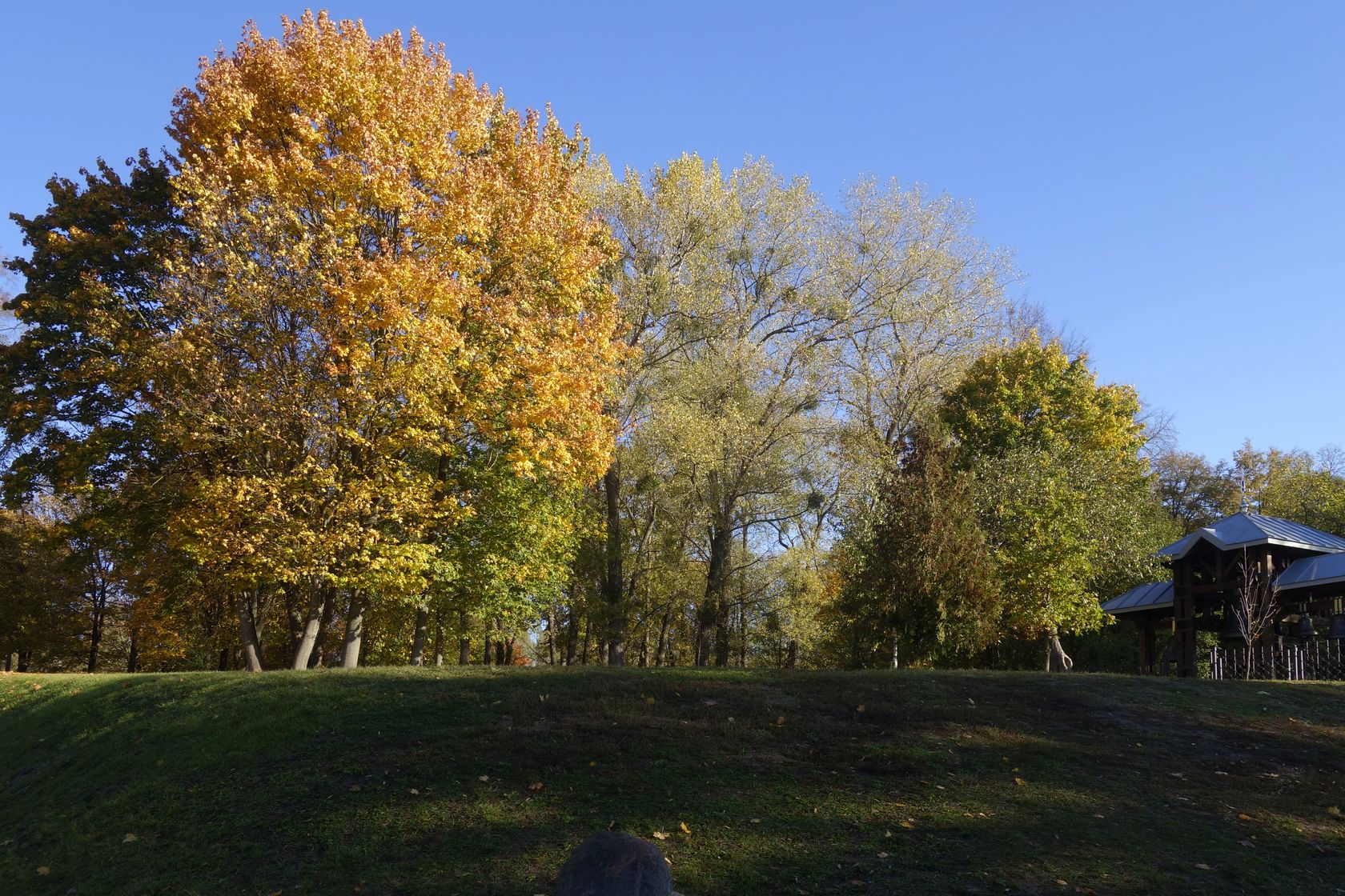 Коложа, image of landscape/habitat.