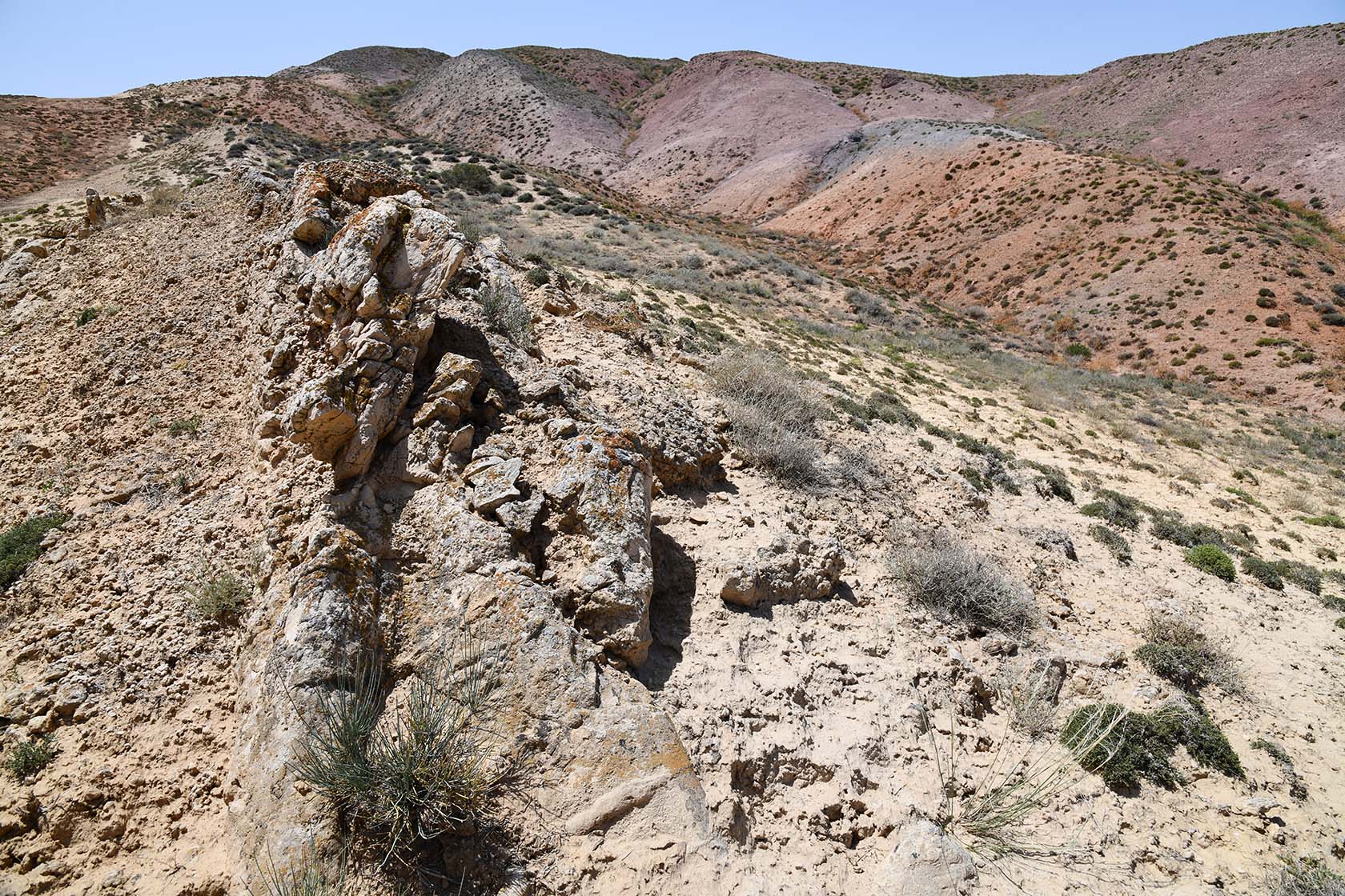 Бала-Богуты, image of landscape/habitat.