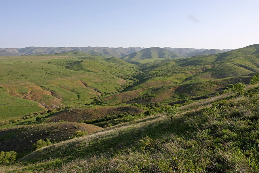 Ущелье Кенозен, image of landscape/habitat.