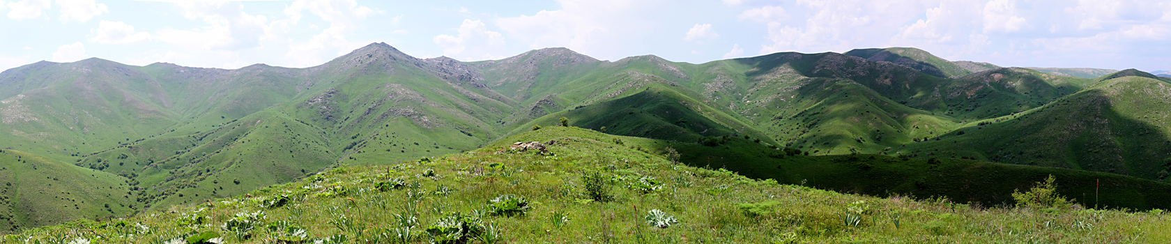 Боролдайтау - северный склон, image of landscape/habitat.