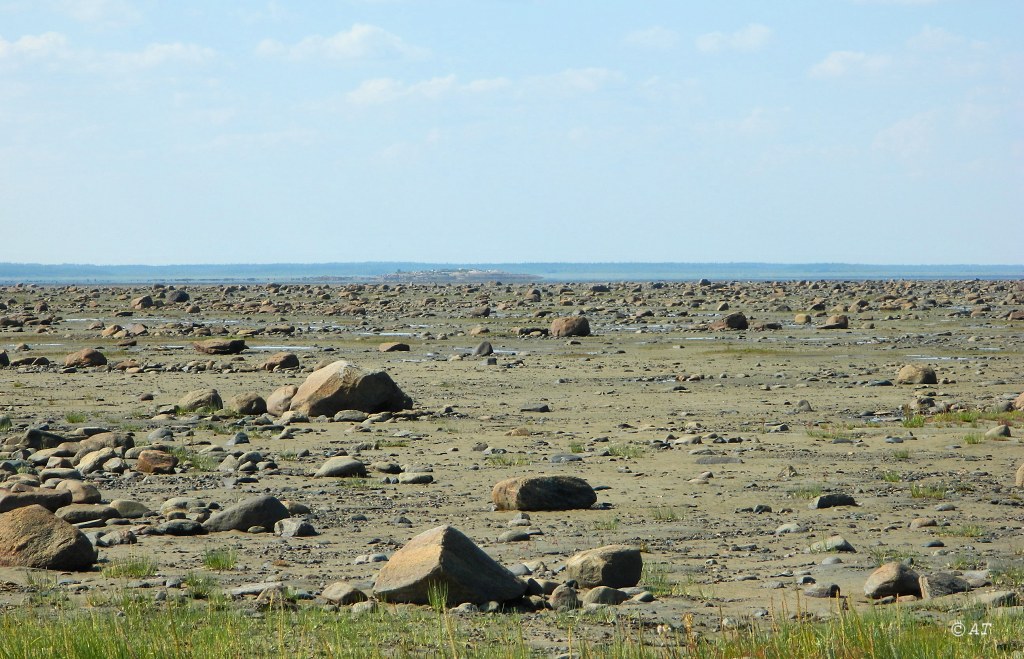 Унежма, image of landscape/habitat.
