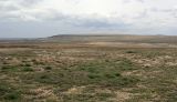 Иргиз, image of landscape/habitat.
