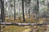 Озеро Шуду, image of landscape/habitat.