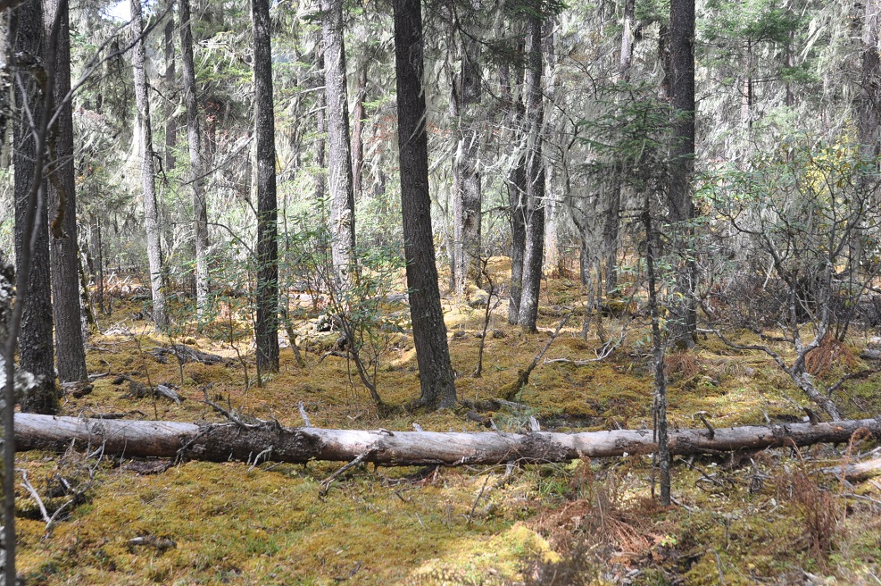 Озеро Шуду, image of landscape/habitat.
