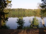 Image of landscape
