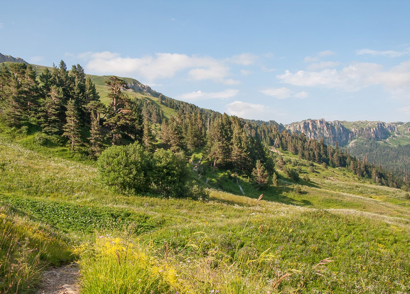 Узуруб, image of landscape/habitat.