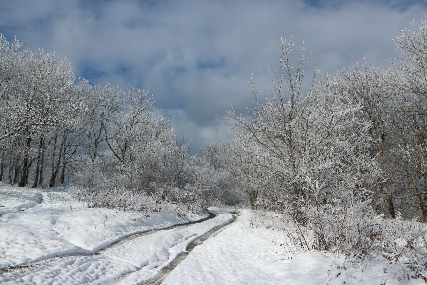 Гора Шахан, image of landscape/habitat.