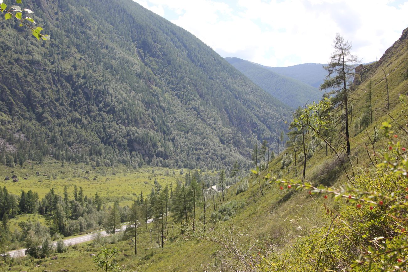 Окрестности водопада Ширлак, image of landscape/habitat.