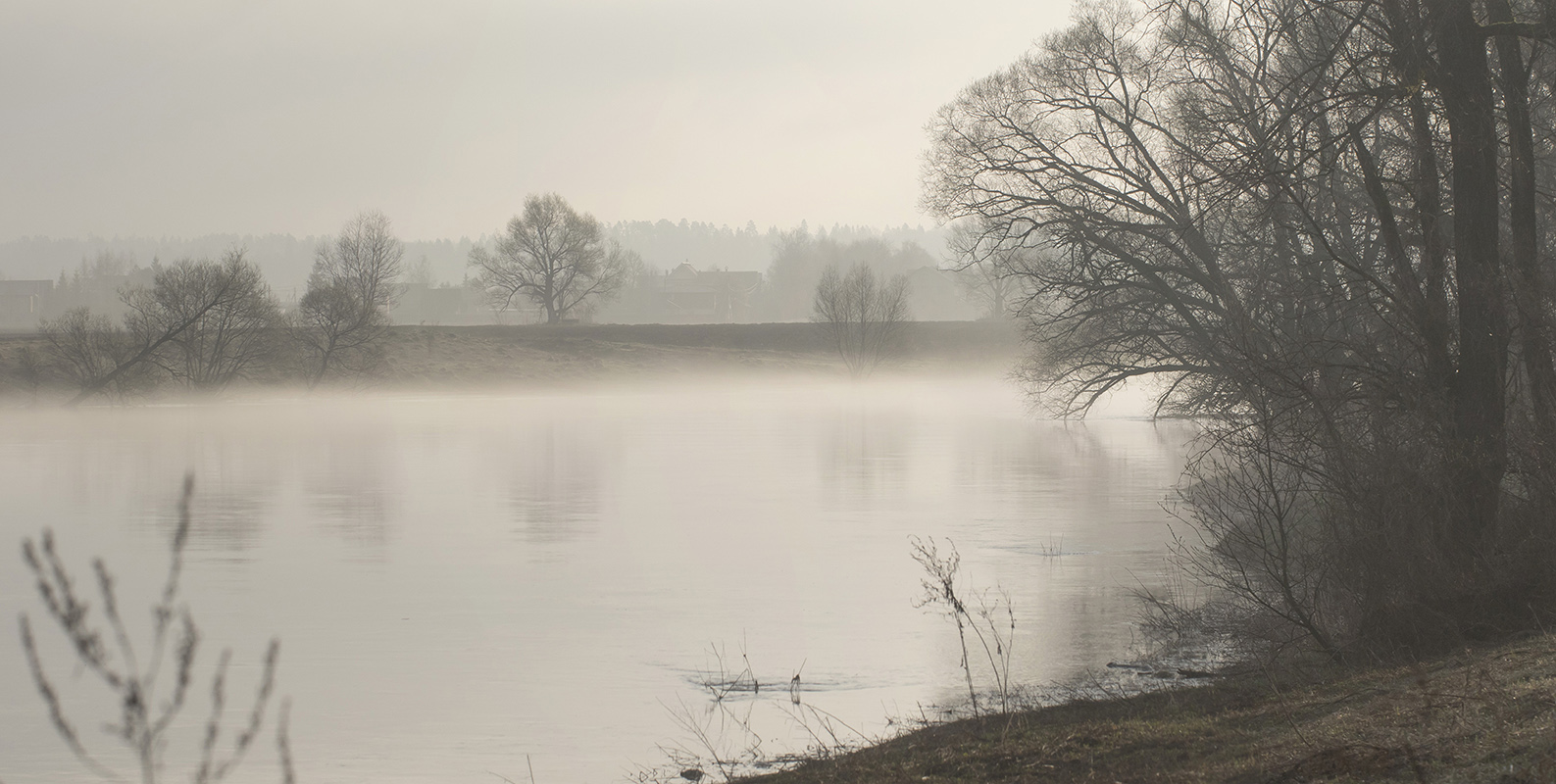 Звенигородская биостанция МГУ, image of landscape/habitat.