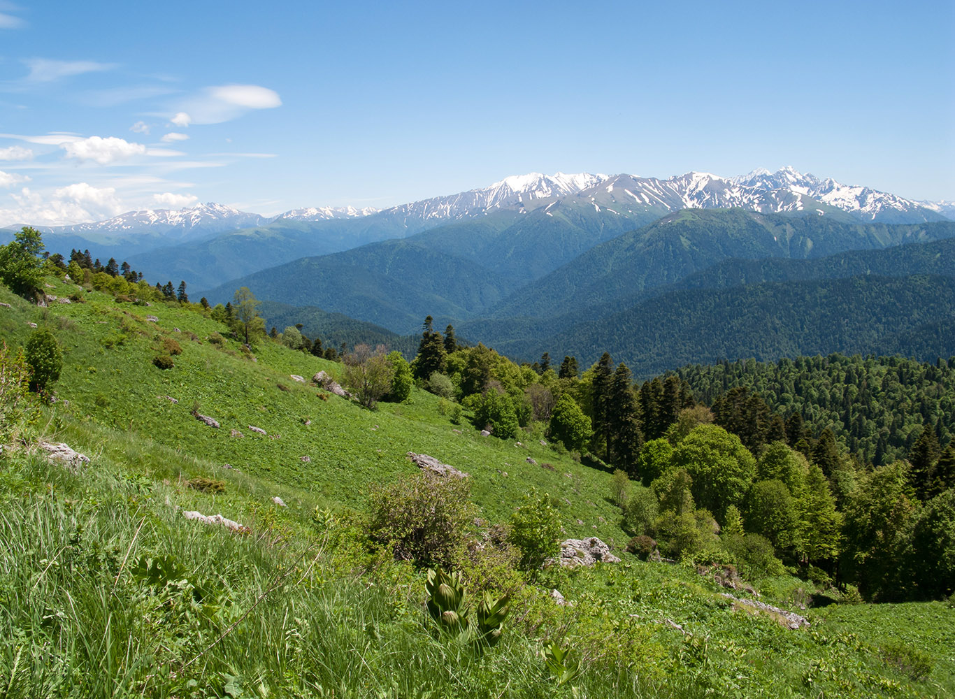 Каменное Море, изображение ландшафта.