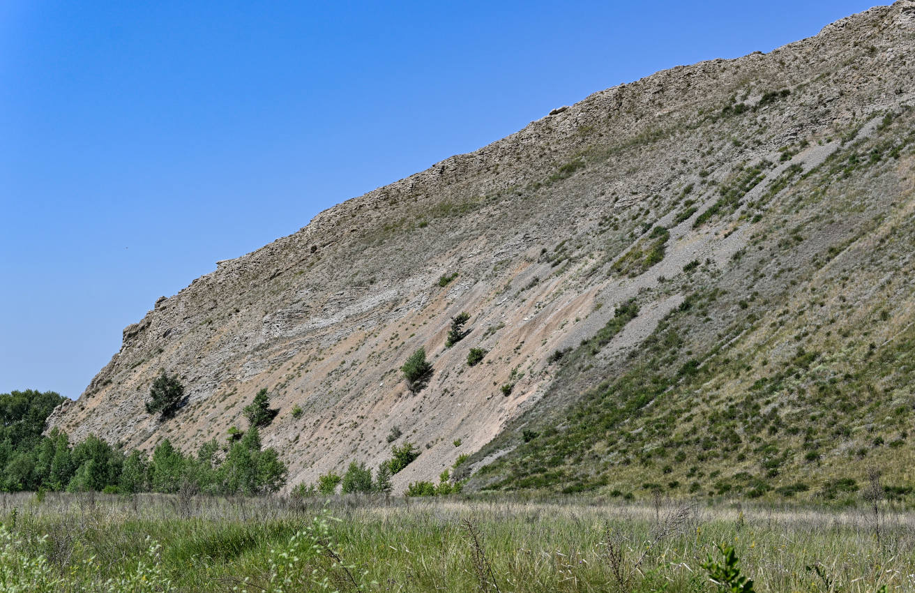 Хребет Карамурунтау, image of landscape/habitat.