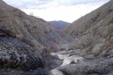 Image of landscape