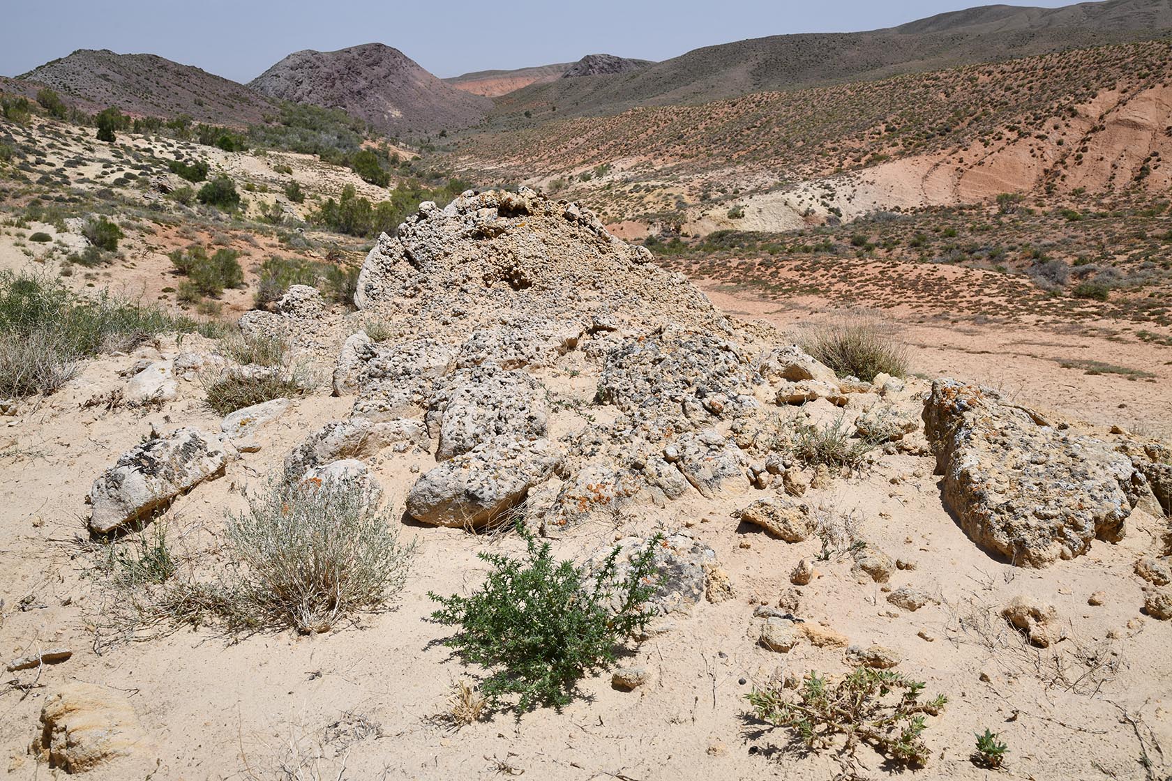 Бала-Богуты, image of landscape/habitat.