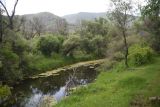 Урочище Тавкветула, image of landscape/habitat.