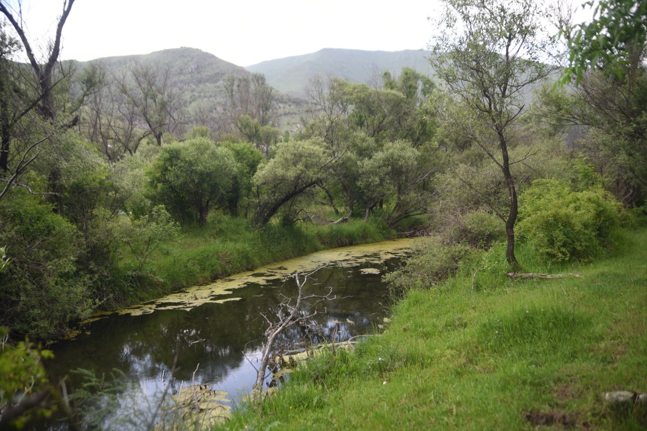 Урочище Тавкветула, image of landscape/habitat.
