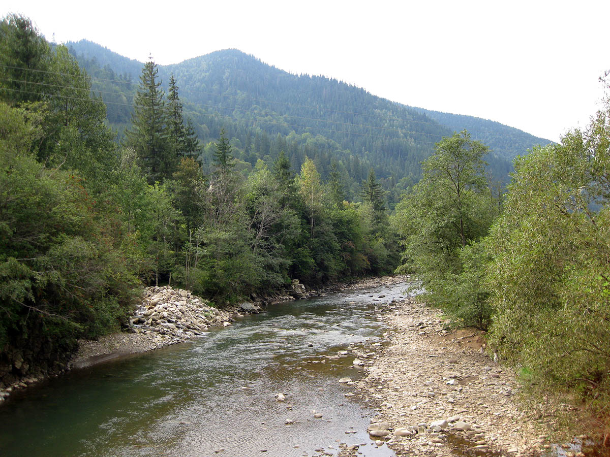 Заповедник "Горганы", Максимец, image of landscape/habitat.