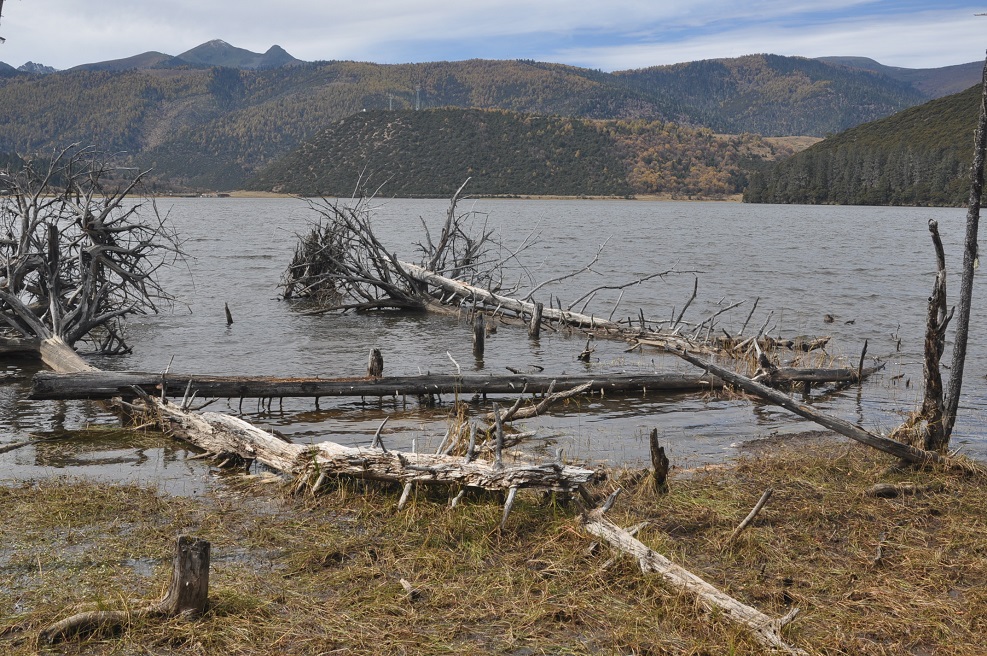 Озеро Шуду, image of landscape/habitat.
