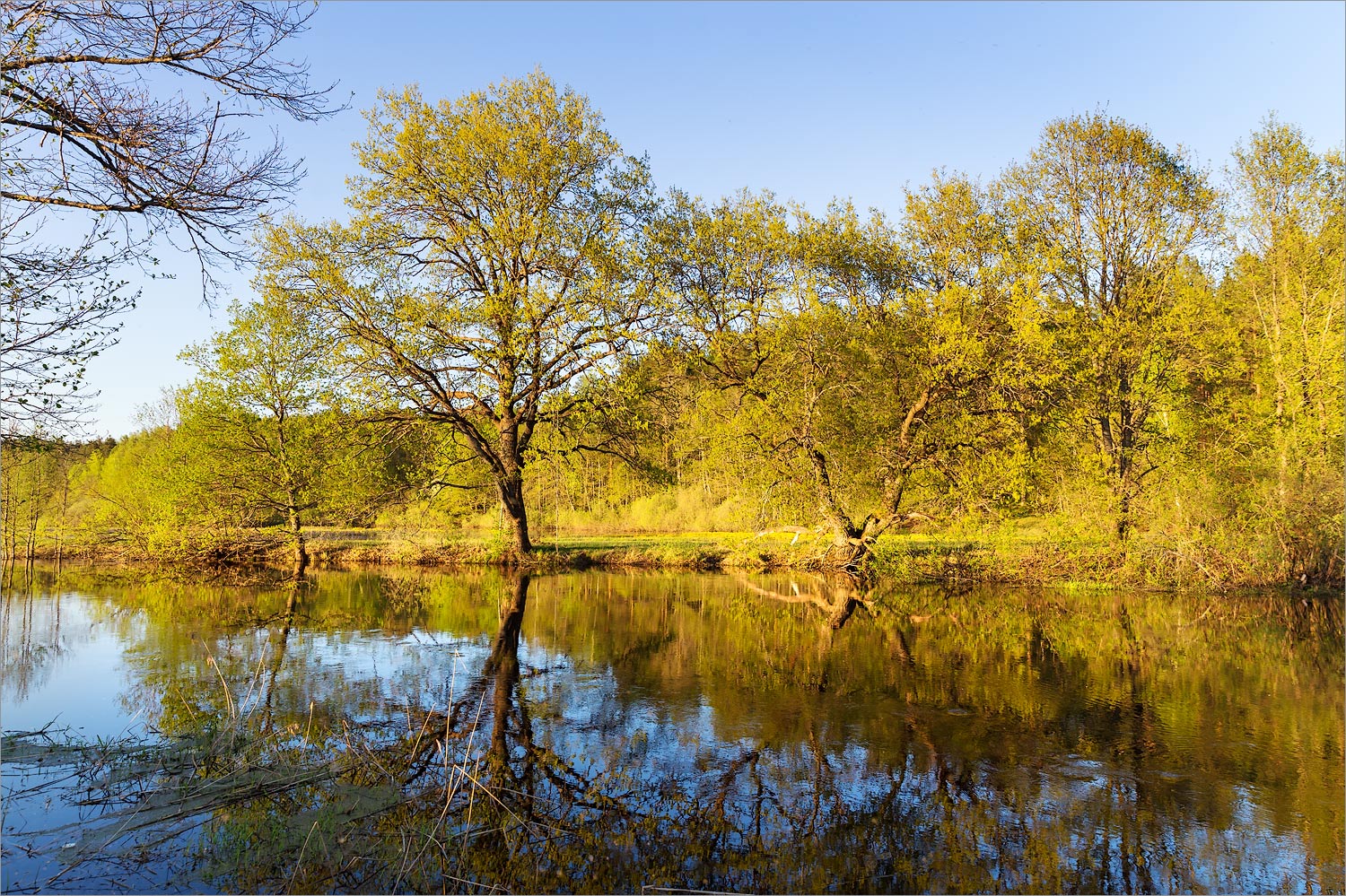 Ловать, image of landscape/habitat.