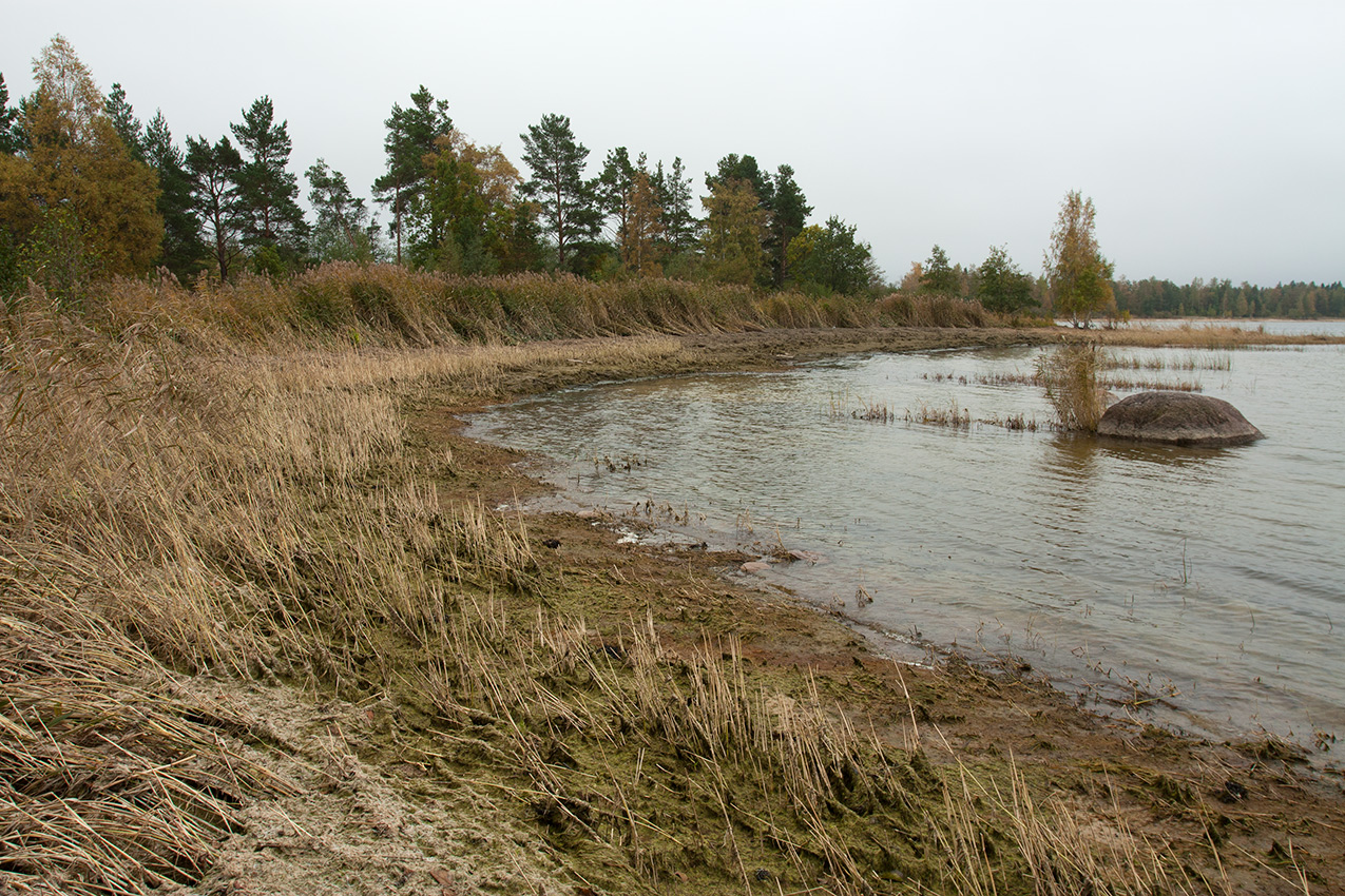 Мыс Дубовский, image of landscape/habitat.