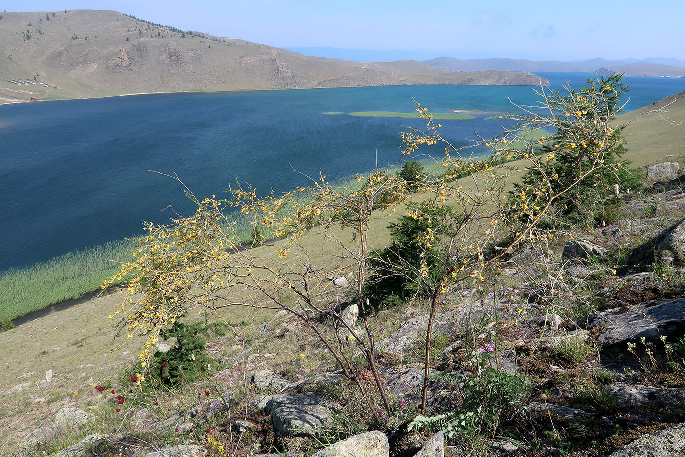 Тажеранская степь, image of landscape/habitat.