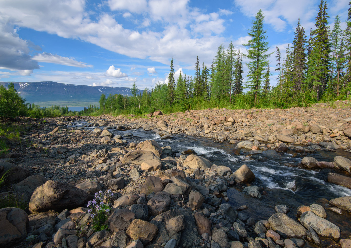 Озеро Глубокое, image of landscape/habitat.