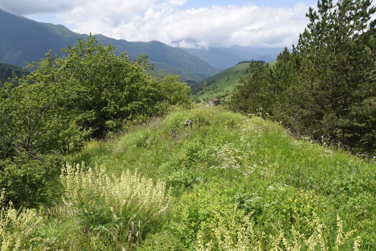 Окрестности урочища Меллер, image of landscape/habitat.