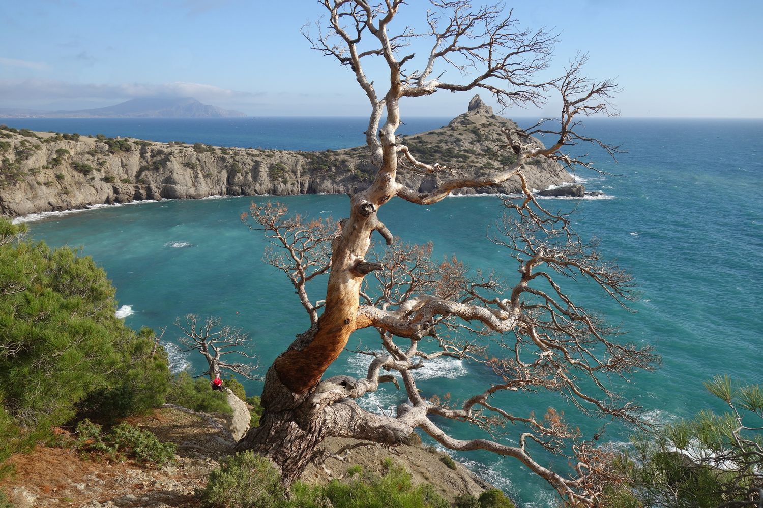Караул-Оба, image of landscape/habitat.