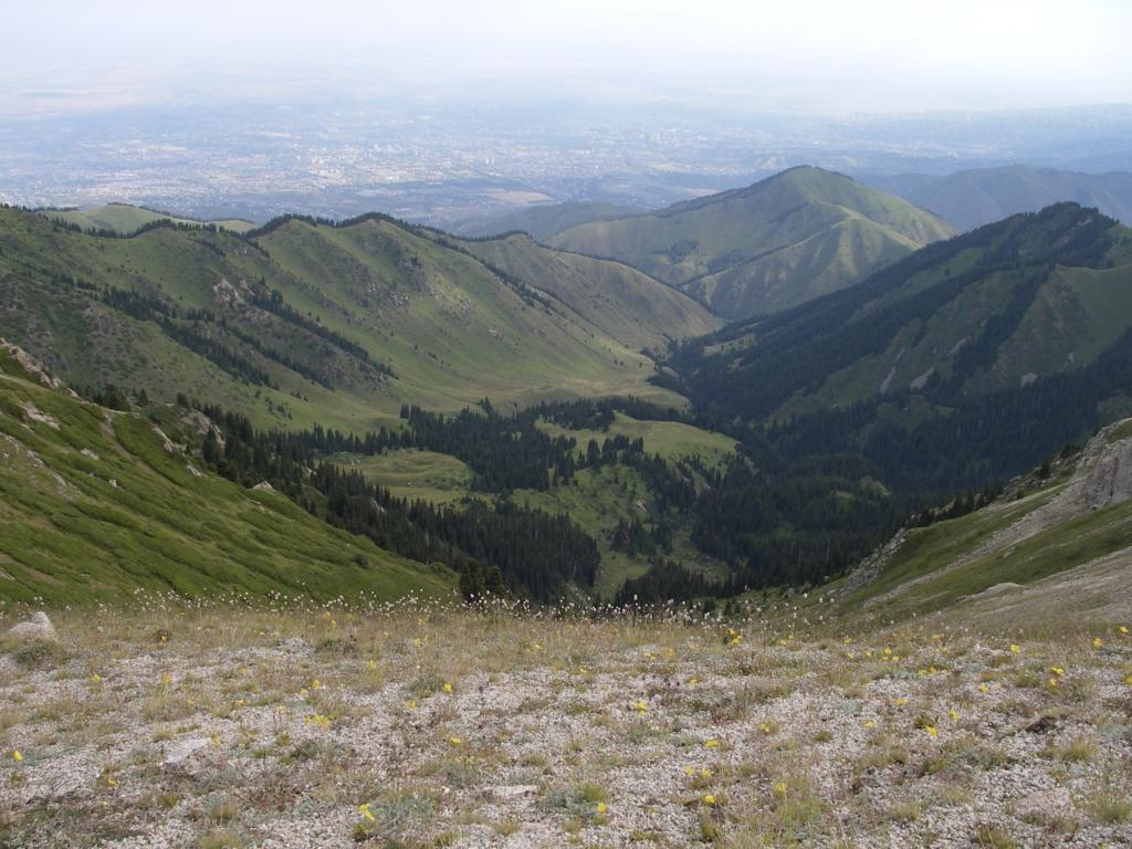 Каргалинское ущелье, image of landscape/habitat.