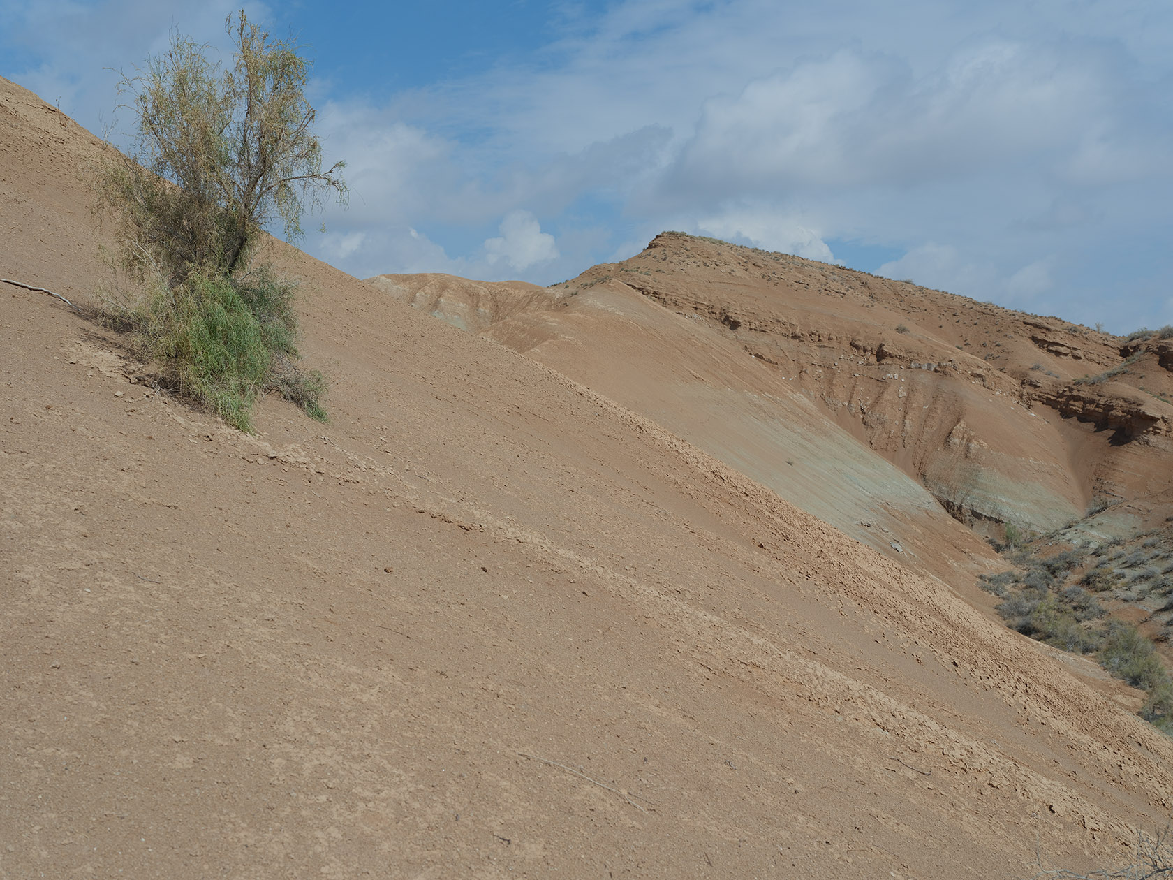 Долонтау, image of landscape/habitat.