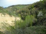 Image of landscape