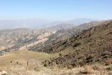 Image of landscape