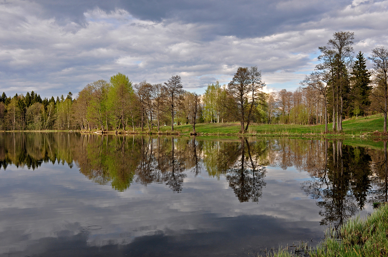 Валдай, image of landscape/habitat.