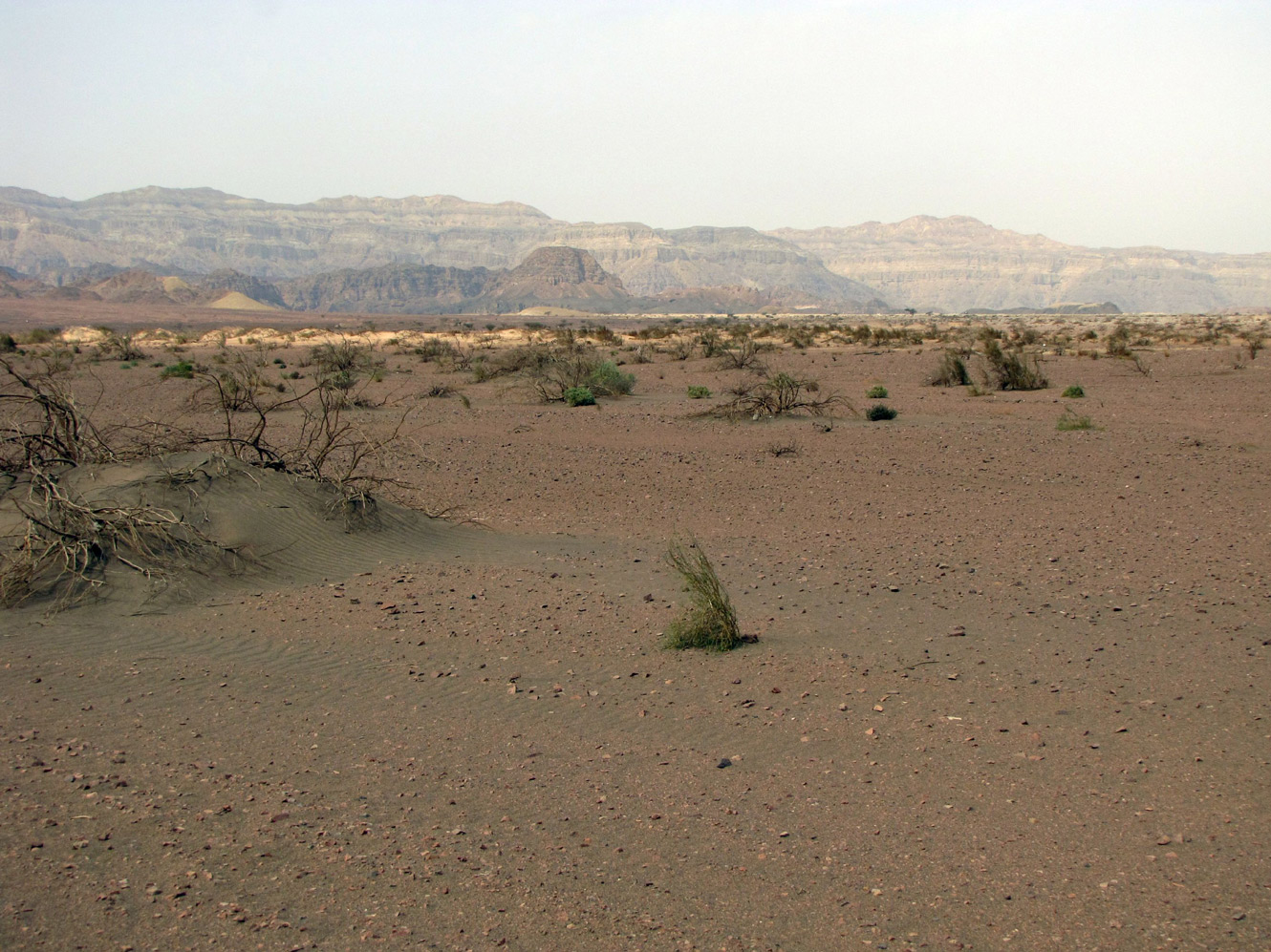 Эйлатские горы, image of landscape/habitat.