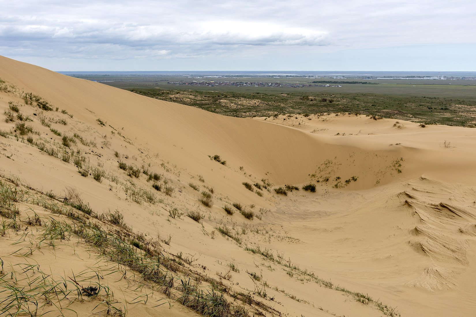 Бархан Сарыкум, image of landscape/habitat.